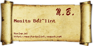 Mesits Bálint névjegykártya
