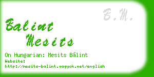 balint mesits business card