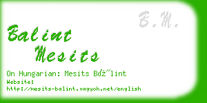 balint mesits business card